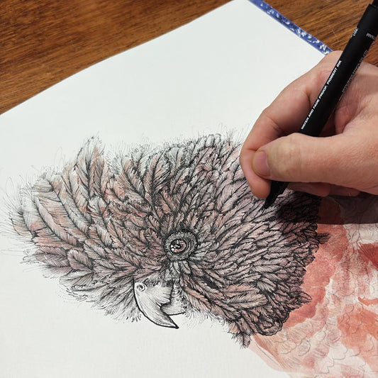 Birds & Native Animals — Stories of Community