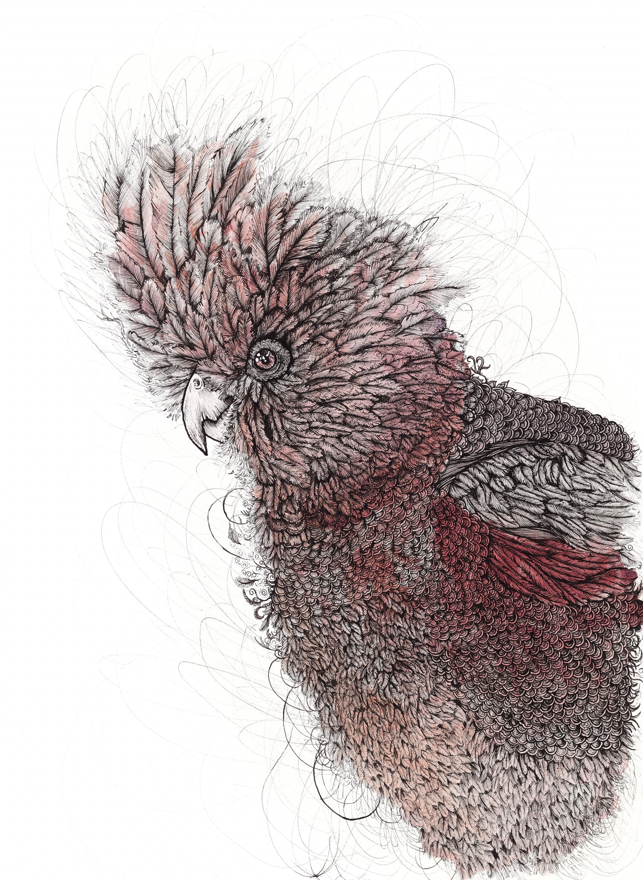 Selected Variant Image