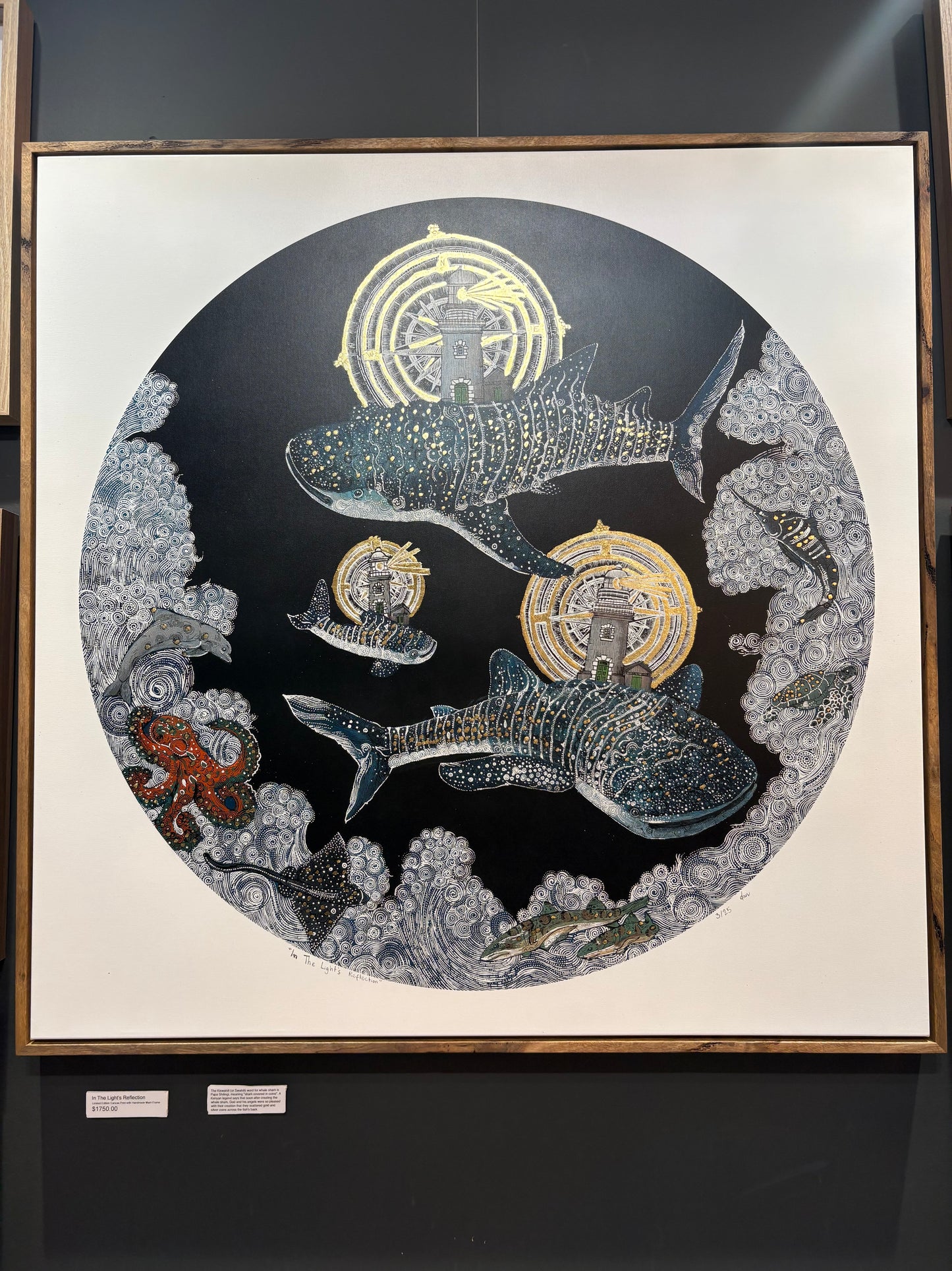 In The Light’s Reflection