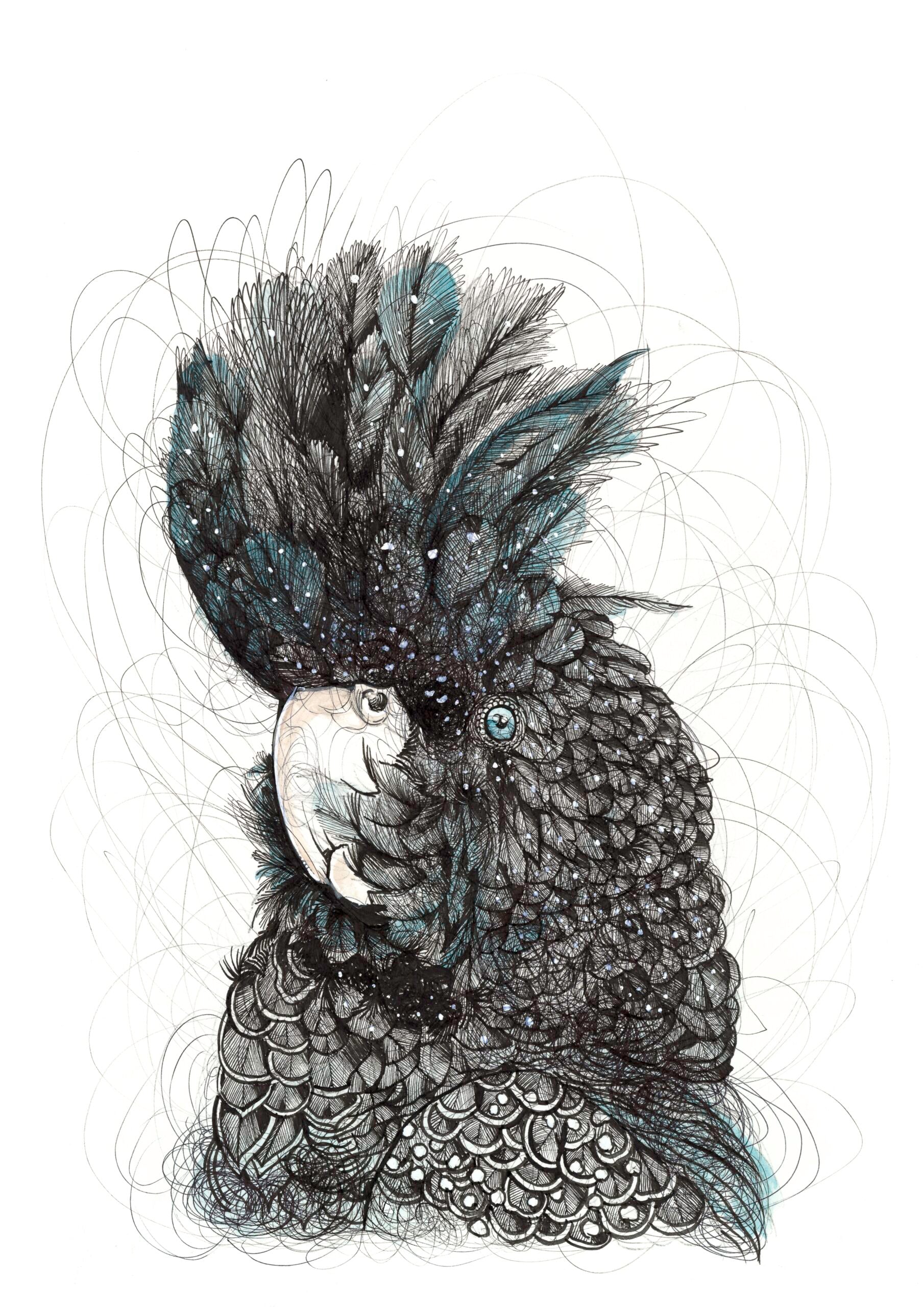 Selected Variant Image